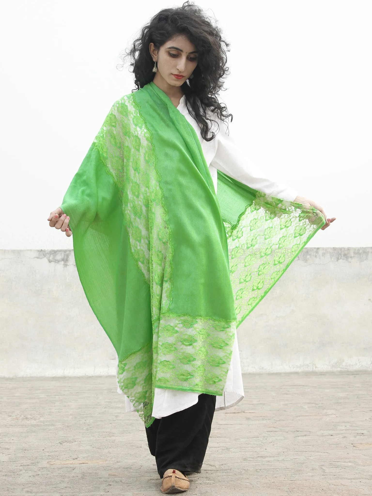 Parrot Green Lace Work Fine Woolen Cashmere Stole - S6317172