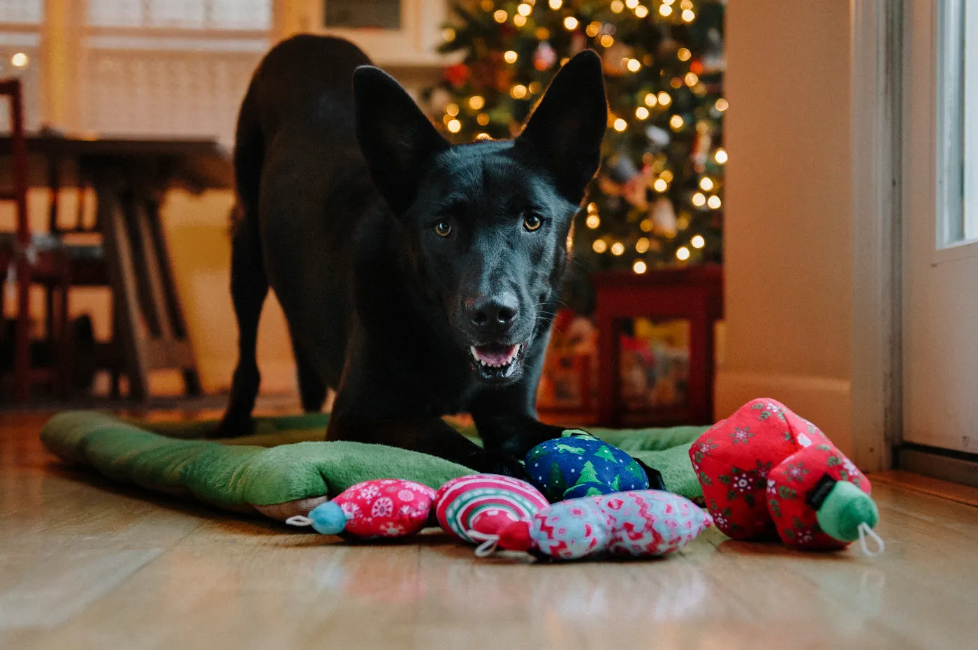 Santa’s Little Squeakers Plush Toy Set